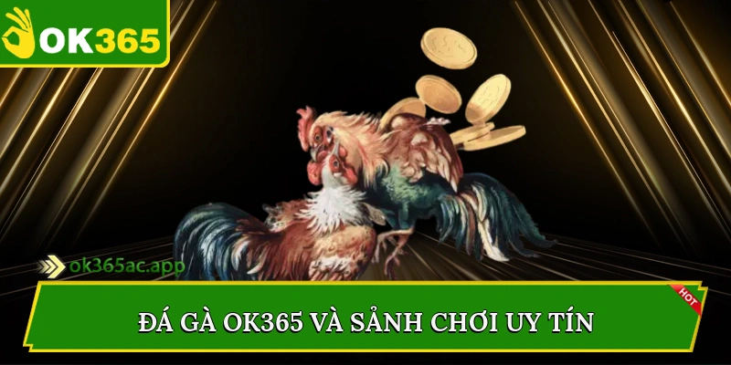 Đá gà Ok365 và sảnh chơi uy tín