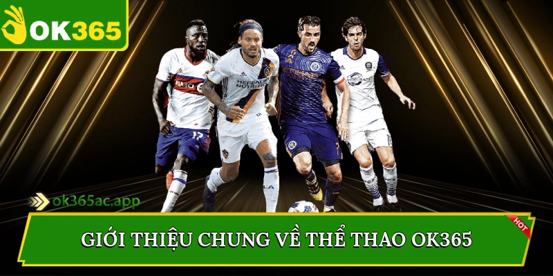 Giới thiệu chung về thể thao Ok365