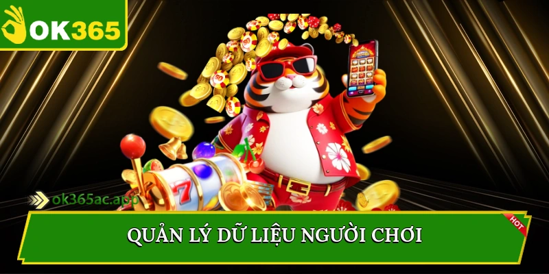 Quản lý dữ liệu người chơi